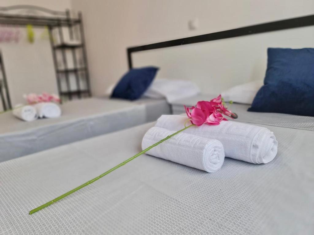 Franmay Apartments - 7 Modern Apartments Near The Beach & City, Perfect For Nomads, Travellers, Families, Watersports! Санта-Марія Екстер'єр фото